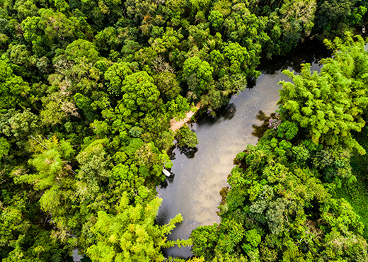 oitsa-blog-iquitos-peru-amazonas