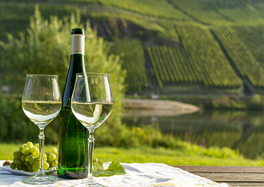 OITSA | El vino que nace en el Rhin