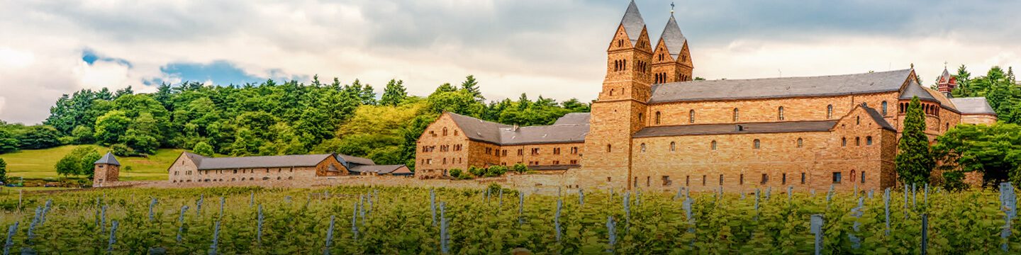 OITSA | El vino que nace del Rhin
