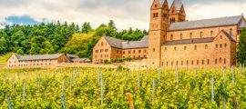 OITSA | El vino que nace del Rhin