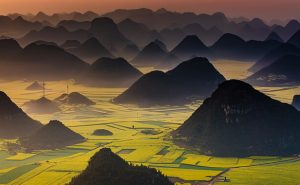 China Exótica Yunnan | OITSA