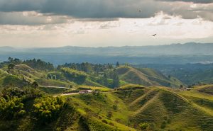 Bogotá Paisaje, Cafetero y Cartagena | OITSA